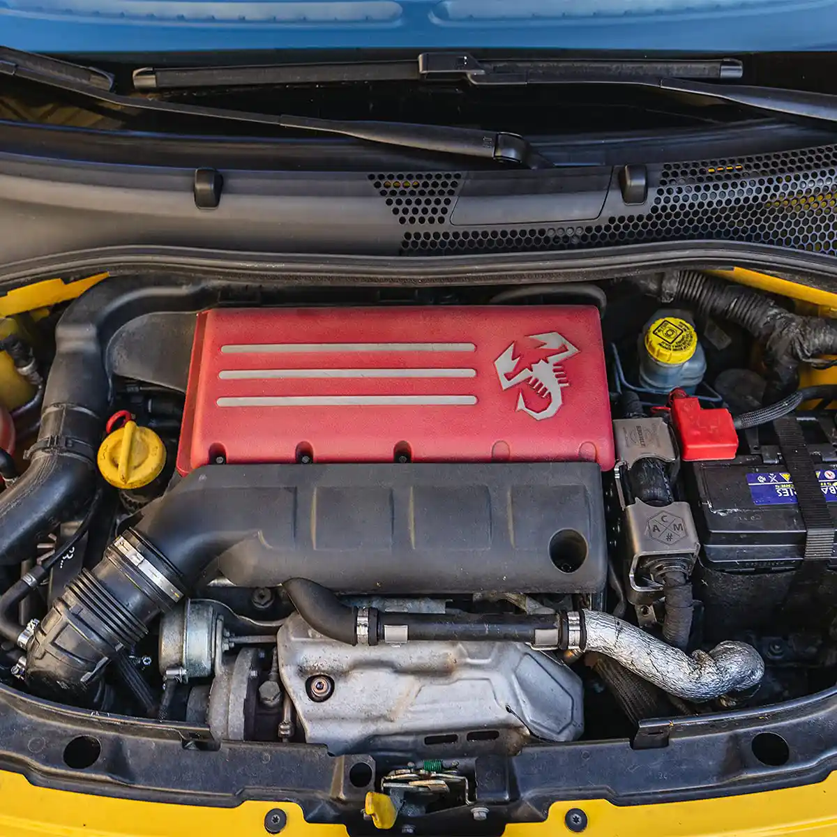 APC and Cleaner for Professional Interior Care