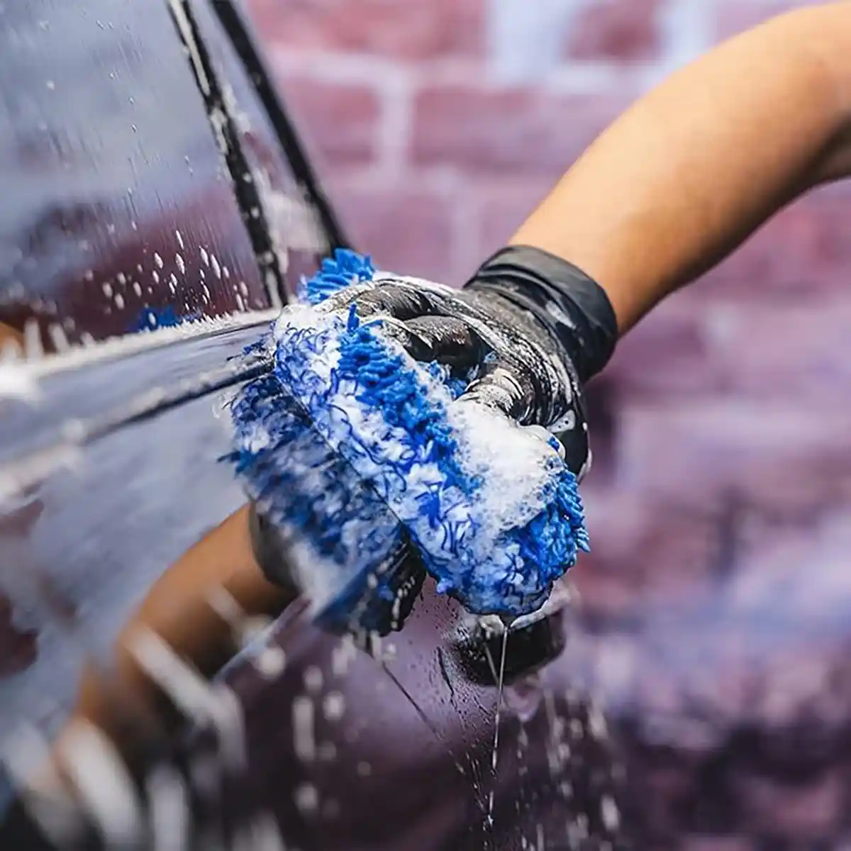 Black & Wrap Shampoo and Shampoo for Professional Exterior Care